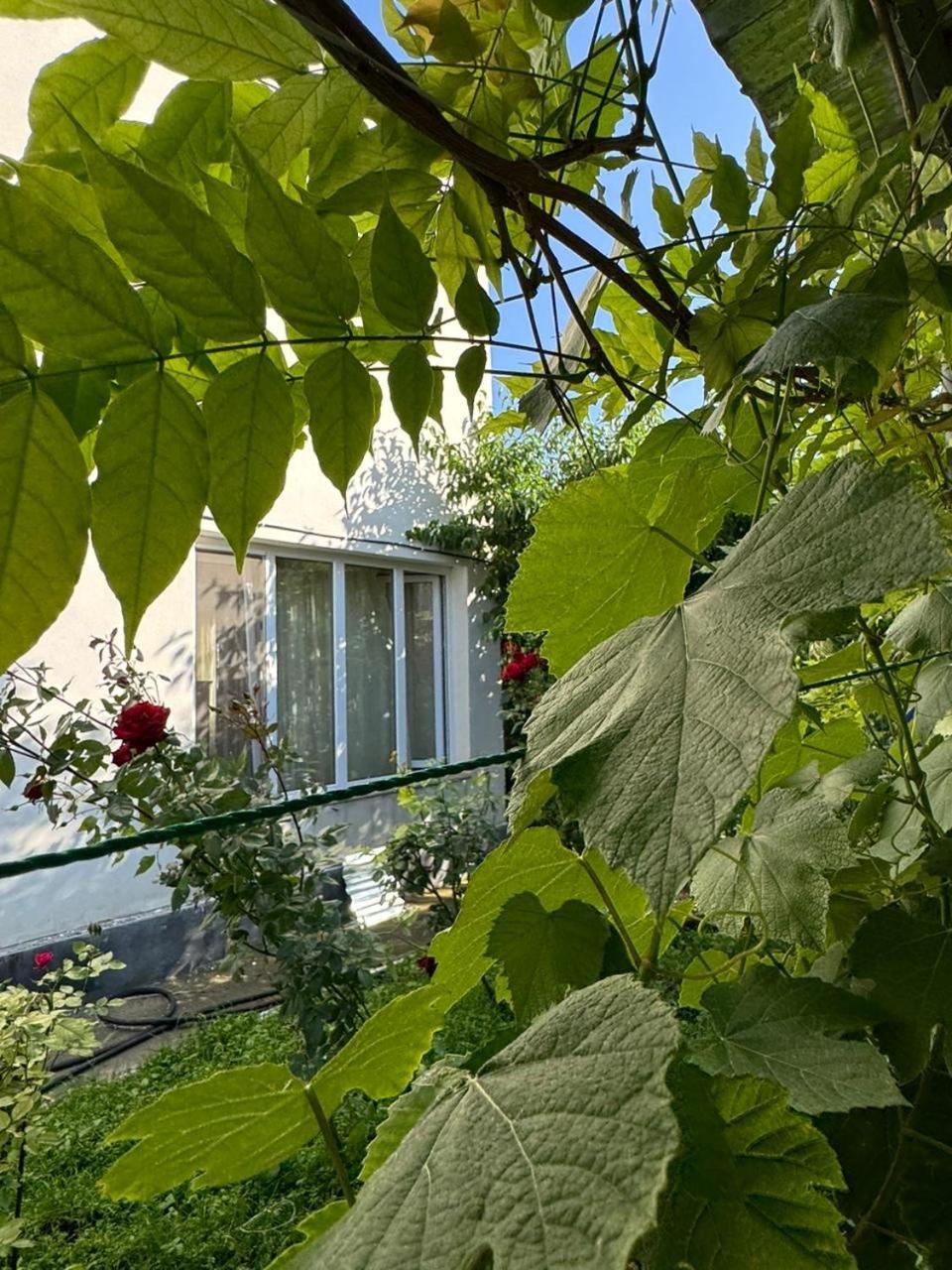 Center Hotel Goris Exterior photo